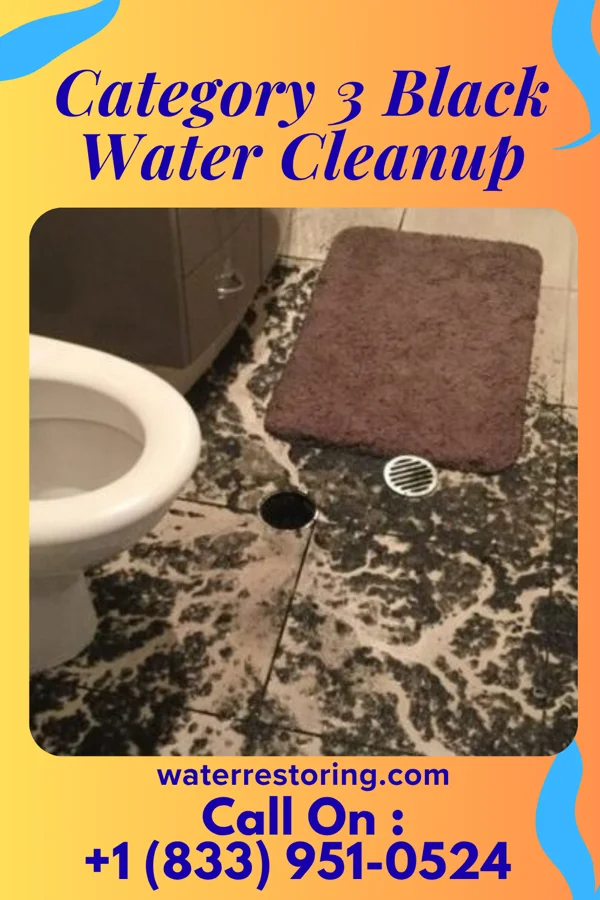 Category 3 Black Water Cleanup in Wetumka, OK