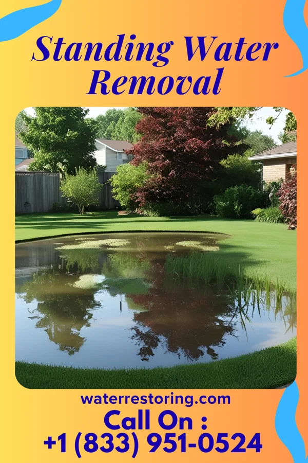 Standing Water Removal in Wetumka, OK